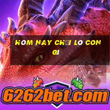 hôm nay chơi lô con gì