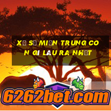 xổ số miền trung con gì lâu ra nhất