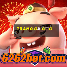 trang cá cược