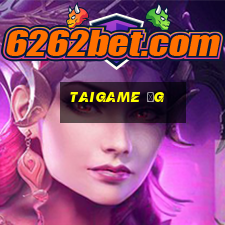 taigame ỏg