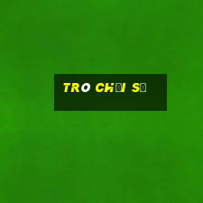 trò chơi sẽ