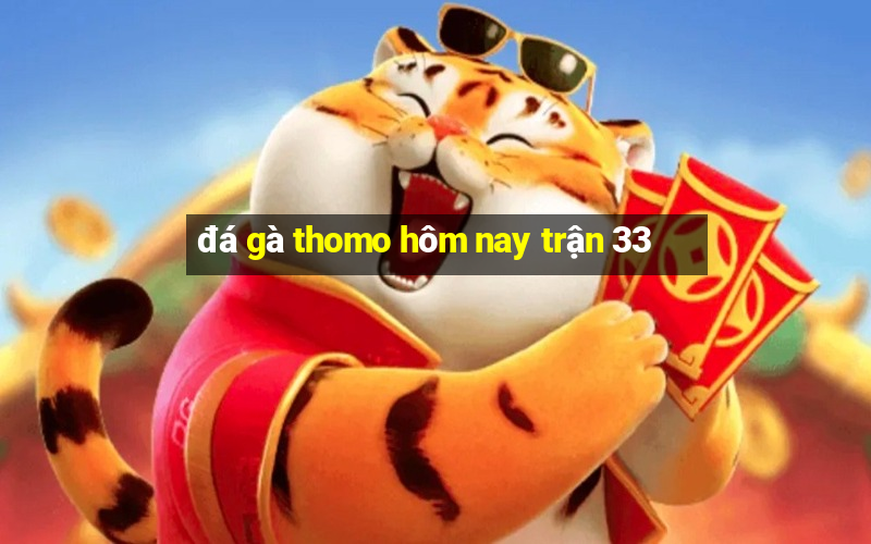 đá gà thomo hôm nay trận 33