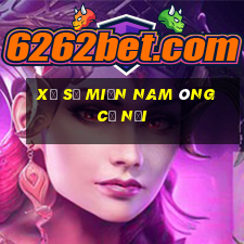 xổ số miền nam ông cố nội