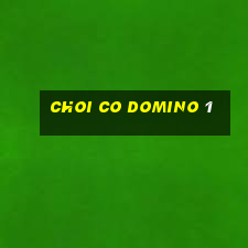 choi co domino 1