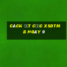 Cách đặt cược XSDTMB ngày 9