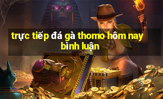 trực tiếp đá gà thomo hôm nay bình luận