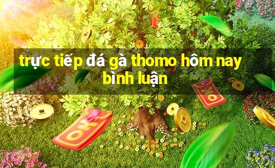 trực tiếp đá gà thomo hôm nay bình luận