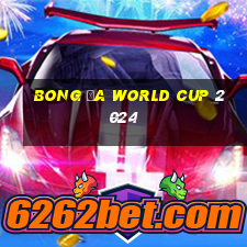 bong đa world cup 2024