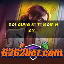 bói cung sư tử hôm nay