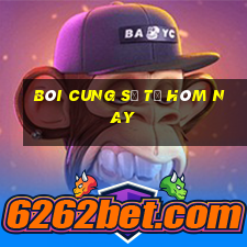 bói cung sư tử hôm nay