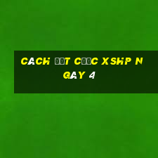 Cách đặt cược XSHP ngày 4