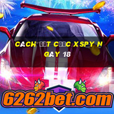 Cách đặt cược XSPY ngày 18