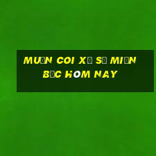 muốn coi xổ số miền bắc hôm nay