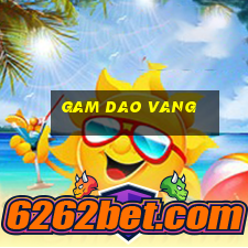 gam dao vang