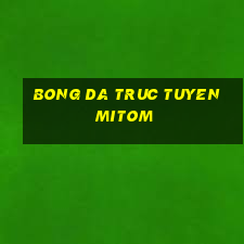 bong da truc tuyen mitom