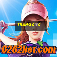 trang cược