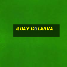 quay hũ larva