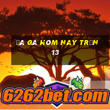 đá gà hôm nay trận 13