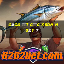 Cách đặt cược XSDN ngày 7