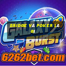 bridge và poker là gì