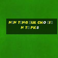 Nền tảng đua chó điện tử pk8