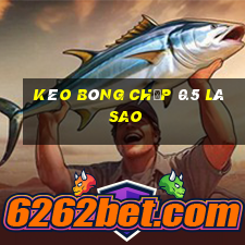 kèo bóng chấp 0.5 là sao