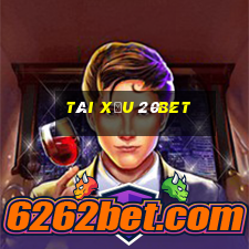 Tài Xỉu 20bet