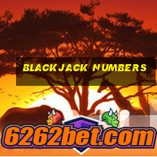 blackjack numbers