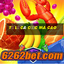 tỷ lệ cá cược ma cao