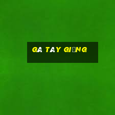 gà tây giống