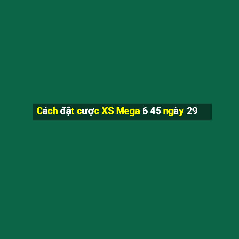 Cách đặt cược XS Mega 6 45 ngày 29