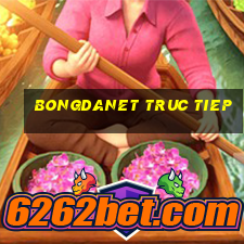 bongdanet truc tiep