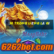 Ẩm trong Liêng là gì