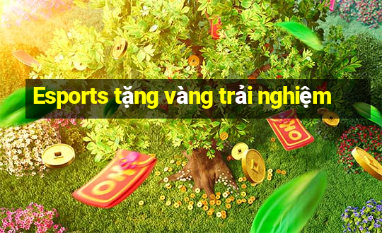 Esports tặng vàng trải nghiệm