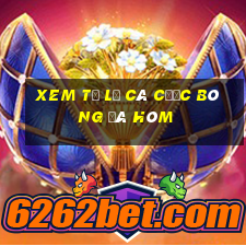 xem tỷ lệ cá cược bóng đá hôm