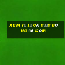 xem tỷ lệ cá cược bóng đá hôm