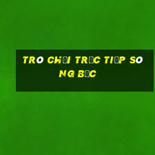 Trò chơi trực tiếp sòng bạc