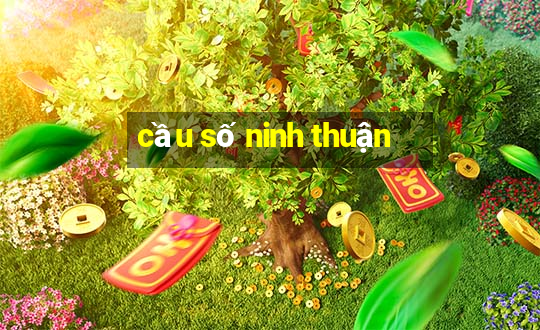 cầu số ninh thuận