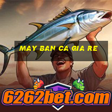 may ban ca gia re