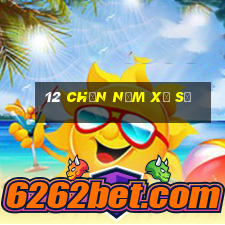 12 Chọn Năm Xổ số