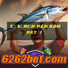 xổ số miền nam hôm nay đi