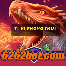 tử vi phong thuỷ