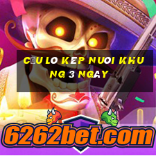 cầu lô kép nuôi khung 3 ngày