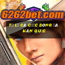 tỷ lệ cá cược bóng đá hàn quốc