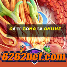 cá độ bóng đá online