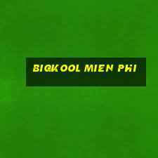 bigkool mien phi