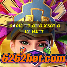 Cách đặt cược XSCT Chủ Nhật