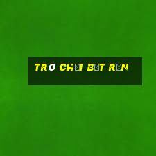 trò chơi bắt rắn