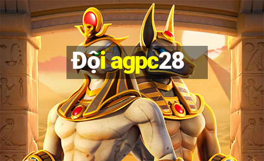 Đội agpc28