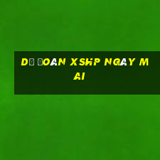 Dự đoán XSHP ngày mai